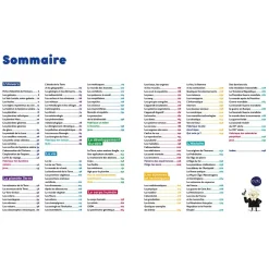 1001 POURQUOI COMMENT - SCIENCE & VIE JUNIOR - Editions Auzou