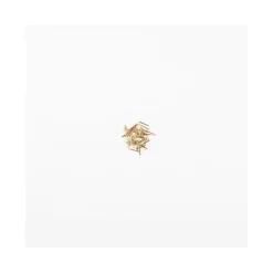 Accessoires maquette bateau : Clous laiton 10 mm - Amati