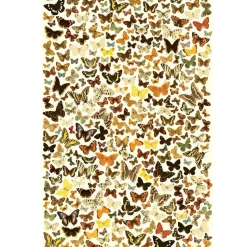 Affiche de jeux XL : Trouvez les sosies - Stratier