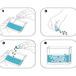 Antquarium : Super forêt de fourmis - Antquarium