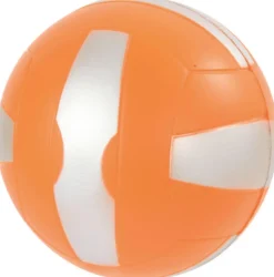 Balles de sport PU 12 pièces dans un filet - Eduplay