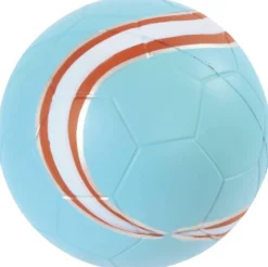 Balles de sport PU 12 pièces dans un filet - Eduplay