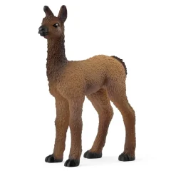 Bébé Lama - Schleich
