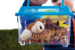 Boîte à insectes, set de 2 - Eduplay