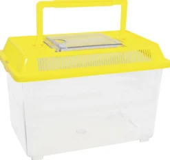 Boîte à insectes, set de 2 - Eduplay