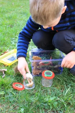 Boîte à insectes, set de 2 - Eduplay