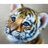Broderie diamant : Bébé Tigre - sans chassis en bois - Figured'Art