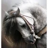 Broderie diamant : Cheval gris élégant - sans chassis en bois - Figured'Art