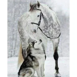 Broderie diamant : Cheval et Loup dans la Neige - sans chassis en bois - Figured'Art