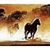 Broderie diamant : Chevaux en action - toile tendue sur chassis - Figured'Art
