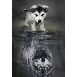 Broderie diamant : Chien et Reflet de Loup - sans chassis en bois - Figured'Art