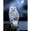 Broderie diamant : Chouette Blanche - sans chassis en bois - Figured'Art