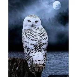 Broderie diamant : Chouette Blanche - sans chassis en bois - Figured'Art