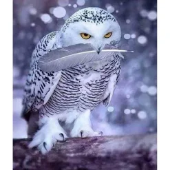 Broderie diamant : Chouette et Plume - sans chassis en bois - Figured'Art