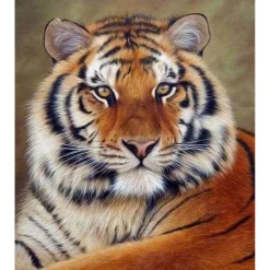 Broderie diamant : Regard de Tigre - toile tendue sur chassis - Figured'Art