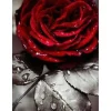 Broderie diamant : Rose Rouge - sans chassis en bois - Figured'Art