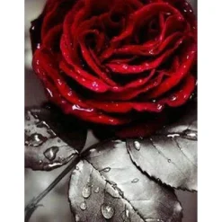 Broderie diamant : Rose Rouge - sans chassis en bois - Figured'Art