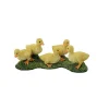 Canard - Canetons - Figurines Collecta