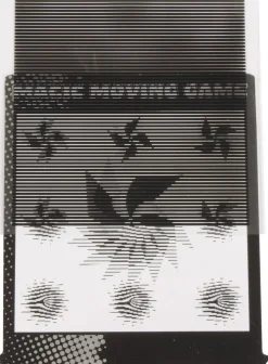 Carte magiques, set de 12 - Eduplay