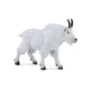 Chèvre du Canada - Papo