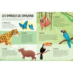 Coffret livre et puzzle 220 pièces : La Planète en danger : L'Amazonie - Sassi