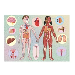 Coffret livre, puzzle 500 pièces et maquette 3D : Mega Atlas Du Corps Humain - Sassi