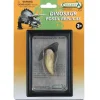 Coffret préhistorique : Dent de Tyrannosaurus Rex (Réplique de fossile) - Figurines Collecta