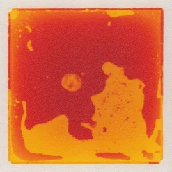 Coussinets de fascination, set de 4 - Eduplay