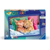 CreArt Kids 31x21cm : Chatons endormis - Ravensburger
