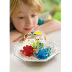 Crystal Growing - Espace - Dam