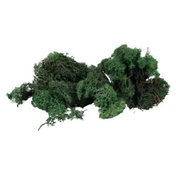 Décor ferroviaire - Mousse d’Islande, vert - Faller