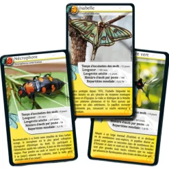 Défis Nature - Insectes - Bioviva