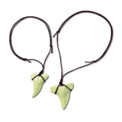 Déterre ta dent de requin - 4M