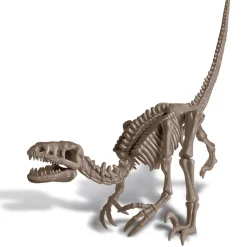 Déterre ton dino : Vélociraptor - 4M