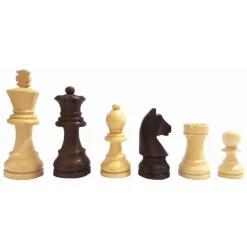 Echiquier Pliant Magnétique 25Cm - Wilson Jeux