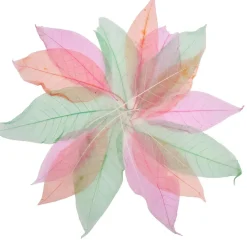 Feuilles transparentes, set de 20 - Eduplay