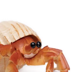 Figurine Bernard-l'Ermite - Safari Ltd