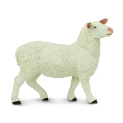 Figurine Brebis - Safari Ltd