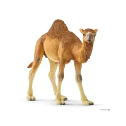 Figurine : Dromadaire - Schleich