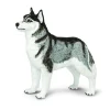 Figurine Husky de Sibérie - Safari Ltd