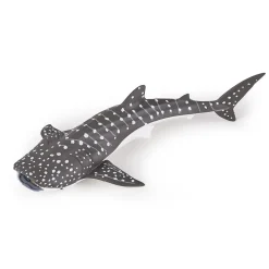 Figurine : Jeune requin baleine - Papo