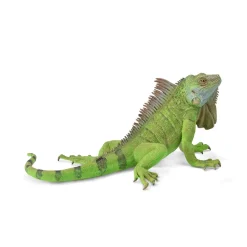 Figurine Animaux Sauvages (XL) : Iguane Vert - Figurines Collecta