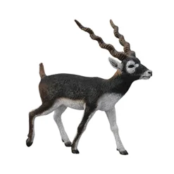 Figurine Antilope - Figurines Collecta