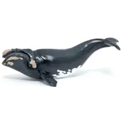 Figurine Baleine franche - Papo