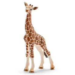 Figurine Bébé girafe - Schleich