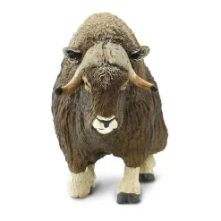Figurine Boeuf musqué - Safari Ltd