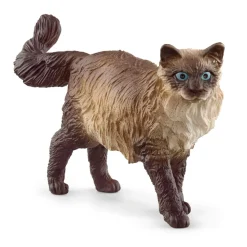 Figurine Chat Ragdoll - Schleich