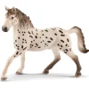 Figurine cheval : Etalon Knabstrupper - Schleich