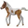 Figurine Cheval : Poulain de Dartmoor Hill - Figurines Collecta