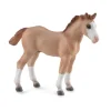 Figurine Cheval : Poulain Quarter Alezan Sauvage - Figurines Collecta